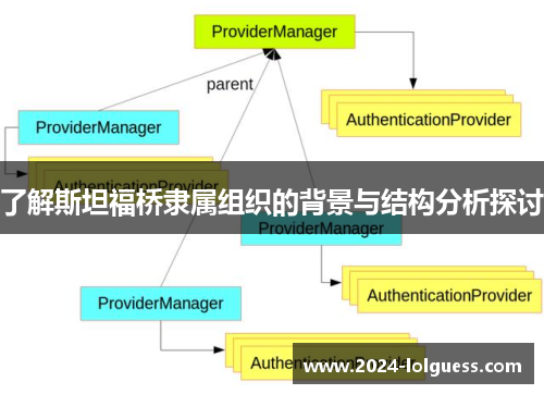 了解斯坦福桥隶属组织的背景与结构分析探讨