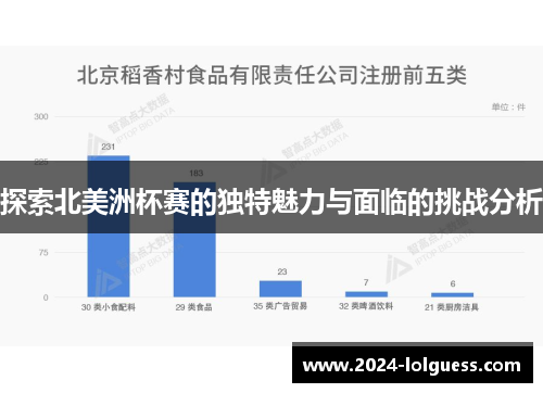 探索北美洲杯赛的独特魅力与面临的挑战分析